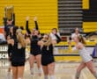 Volleyball team celebrating a point on the court with enthusiasm and raised arms.