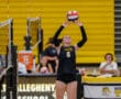 Volleyball player sets ball during match, wearing black Tigers jersey number 6, in yellow and black gymnasium.