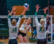 Volleyball player spikes ball past blockers during game. Pine-Richland Rams players attempt to defend.