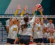 High school volleyball match, Pine-Richland player spikes ball against blockers at net.