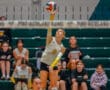 Volleyball player serves during a match as team members watch from the sidelines in a gymnasium.