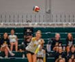 Volleyball player in mid-serve during a match, with teammates seated in the background.