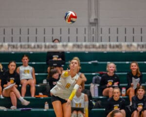 Volleyball player in mid-serve during a match, with teammates seated in the background.