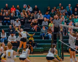 Volleyball player leaps for a spike during an intense match, with spectators watching closely.