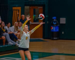 Volleyball player in mid-serve action during a match, with focused spectators in the background.