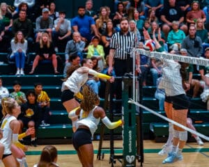 Women's volleyball player spikes ball over net in competitive match, crowd watches intently in packed gymnasium.