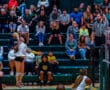 Volleyball player jumps to spike as audience watches in a packed gym during an exciting match.