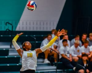 Volleyball player in action serves ball in a gym with spectators watching intently.