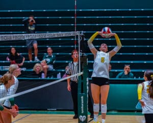 Volleyball player setting the ball in a gym during a match, with teammates ready and spectators watching in the background.