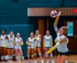 Volleyball player serves ball during match, teammates watch in anticipation.