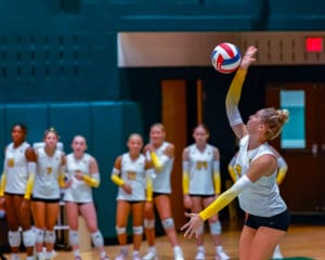 Volleyball player serves ball during match, teammates watch in anticipation.