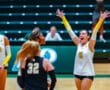 Volleyball team celebrates victory on court, players in white jerseys with numbers 6 and 22, arms raised in excitement.