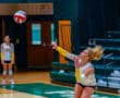 Volleyball player serves ball during intense match on indoor court.