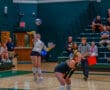 Volleyball player in mid-air serve during an indoor match, with referee and spectators in the background.