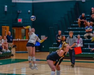 Volleyball player in mid-air serve during an indoor match, with referee and spectators in the background.