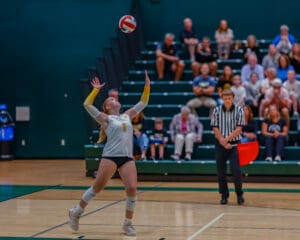 Volleyball player serving during a match with spectators in the background.