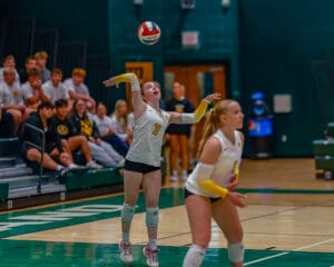 Volleyball player serves ball in a gym, teammates and spectators in background, intense focus on the action.