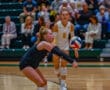 Female volleyball player prepares to receive a serve during a competitive indoor match, with spectators watching.
