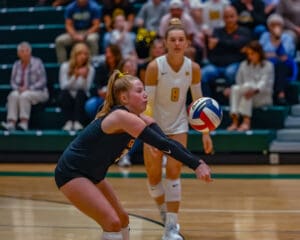 Female volleyball player prepares to receive a serve during a competitive indoor match, with spectators watching.