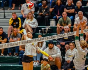 Volleyball player jumps for a spike during a competitive match, with spectators watching intently.