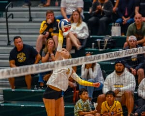 Volleyball player spikes ball over net during an intense match in front of spectators in a gymnasium.