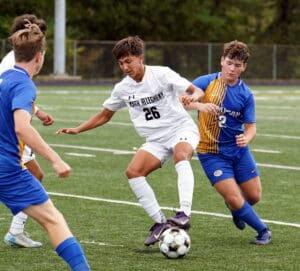 Soccer players from opposing teams competing for the ball during a match on a green field.