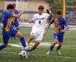 Soccer players in blue and white uniforms clash for the ball on a green field during a competitive match.
