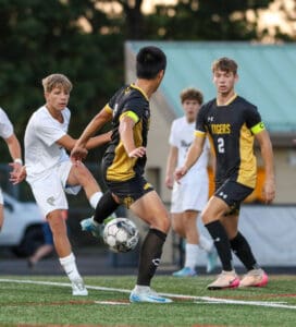 Youth soccer match with teams in black-yellow and white kits competing on a green field.