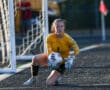 Goalkeeper in yellow jersey confidently catches soccer ball during a match on a sunny day.
