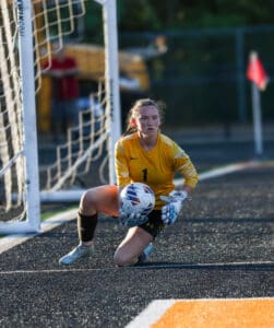 Goalkeeper in yellow jersey confidently catches soccer ball during a match on a sunny day.
