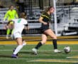 Two female soccer players compete for the ball on a field during a match, with a goalie in the background.