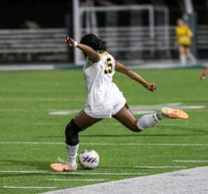 Soccer player in white jersey kicking a ball on a green field during a night match.