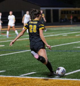 Soccer player in black jersey kicking ball on field during night game.