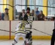 Referee signals during roller hockey game, players in yellow-black jerseys, spectators watch from stands.