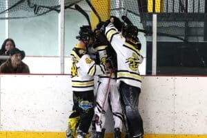 Hockey players in striped uniforms celebrate a goal near the ice rink boards.