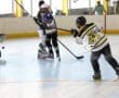 Player in roller hockey game shooting puck towards goal as goalie prepares to block, action-packed rink scene.