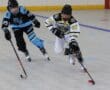 Two youth players competing in a roller hockey game on an indoor rink.