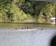 Four people rowing on a calm river, surrounded by lush greenery and a docked boat under a bridge.
