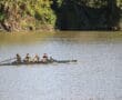 Team rowing in sync on a river under a sunny sky, surrounded by lush green trees and nature.
