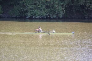 Rower in a single scull gliding on a calm lake with forest backdrop, numbered 42, showcasing competitive rowing.
