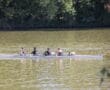Rowing team practicing on a tranquil lake with lush green trees in the background.