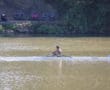 Single rower in a white boat on a calm river with spectators sitting by the shaded bank.