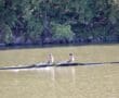 Two rowers in a scull boat on a river, competing in a race against a lush green wooded background.