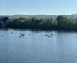 Rowers on a calm river under a blue sky with a bridge and tree-lined bank in the background, enjoying a serene day.