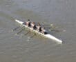 Four-person rowing team glides on water, displaying teamwork and synchronization in a sleek racing shell.