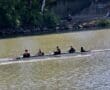 Four-person rowing team in a sleek rowing boat on a river, surrounded by lush greenery in the background.
