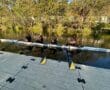 Rowing team practicing on a calm river beside a dock surrounded by lush green trees on a sunny day.