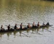 Team of women rowing on a calm lake, coordinated in a sleek racing boat.