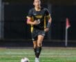 Story: Leo Yu Named To All-WPIAL Soccer Team