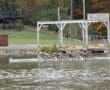 Rowing team glides past Scioto Boat Club with lush greenery in the background.